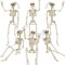 6 PCS Halloween Skeleton Decoration, 16" Small Poseable Skeleton Full Body Skeleton with Movable Joints, Plastic Skeletons for Garden Graveyard Haunted House Party Home Props Decor